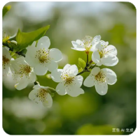 比特币减半是什么？对币价有什么影响？下一次减半时间？