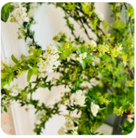 不买设备也可以挖矿赚钱！挖矿合法吗？很贵吗？试算挖矿收益！