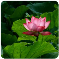 2026 最新｜比特币是什么、怎么玩？为什么比特币有价值？