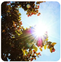 比特币MVRV 是什么？如何透过MVRV-Z 指标抄底？