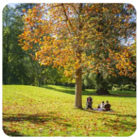 川普政府的比特币战略储备是什么？如何推动美国成为加密货币超级大国？