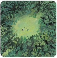 不买设备也可以挖矿赚钱！挖矿合法吗？很贵吗？试算挖矿收益！