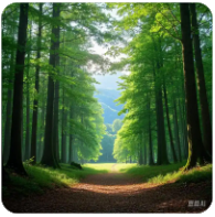 比特币减半是什么？对币价有什么影响？下一次减半时间？