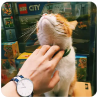 比特币怎么买？新手入门BTC 指南，带你从0 到1 买入BTC！