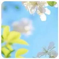 比特币挖矿是什么？ 2025 年最新趋势，散户还适合参与吗？