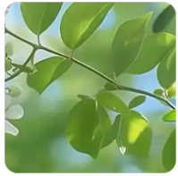 2026 最新｜Metamask 小狐狸钱包教学：下载、建立钱包到出入金完整攻略