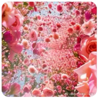 GBTC 是什么？怎么买？一文带你认识Grey Scale 灰度与GBTC