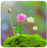 比特币MVRV 是什么？如何透过MVRV-Z 指标抄底？